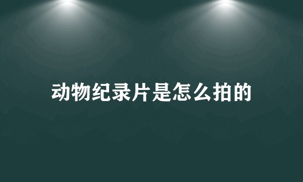 动物纪录片是怎么拍的