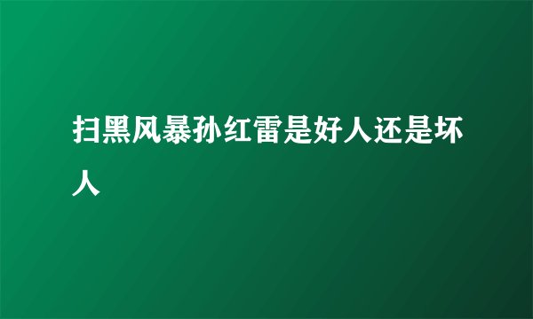 扫黑风暴孙红雷是好人还是坏人