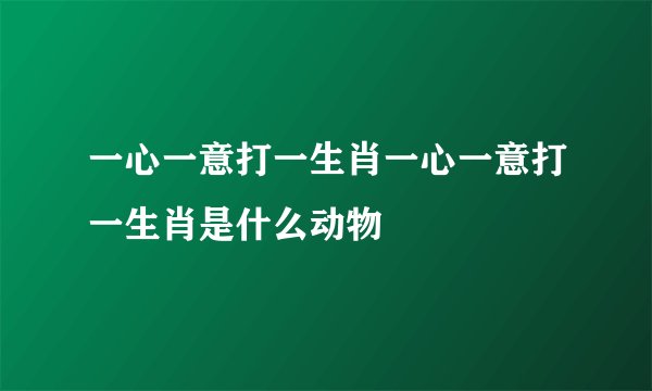一心一意打一生肖一心一意打一生肖是什么动物