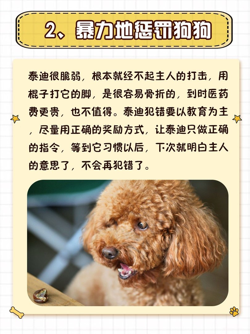就算和泰迪“很熟”，也不要做这些事！