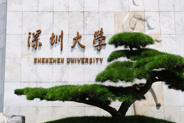 深圳各大学录取分数线2023