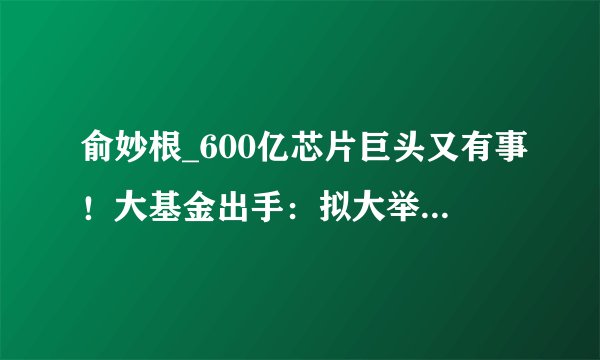 俞妙根_600亿芯片巨头又有事！大基金出手：拟大举减持超12亿