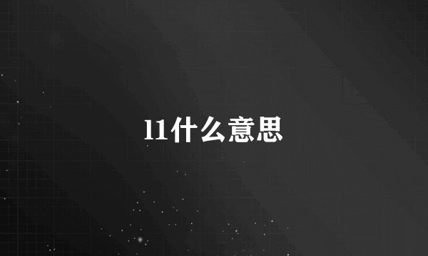 l1什么意思