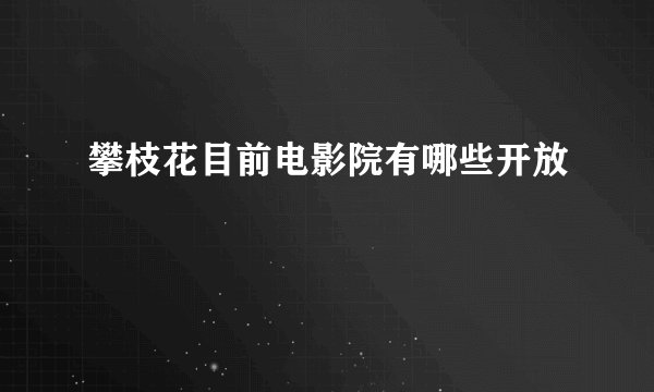 攀枝花目前电影院有哪些开放