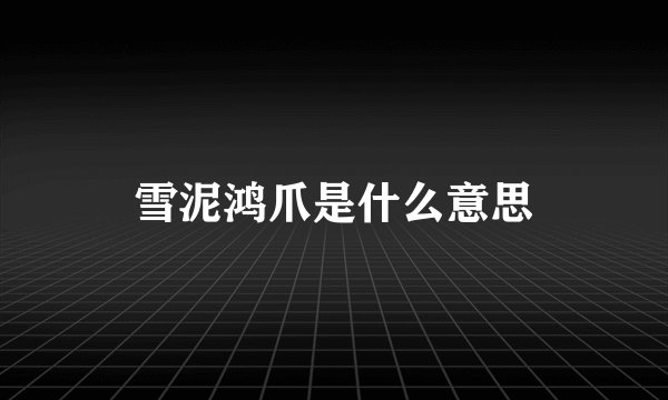 雪泥鸿爪是什么意思