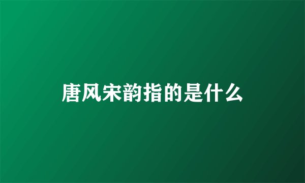 唐风宋韵指的是什么