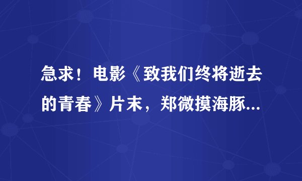 急求！电影《致我们终将逝去的青春》片末，郑微摸海豚时的背景音乐是什么？