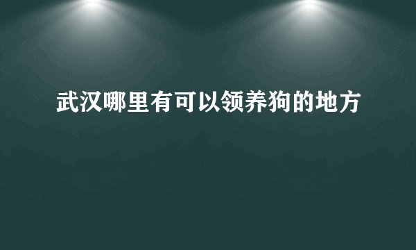 武汉哪里有可以领养狗的地方