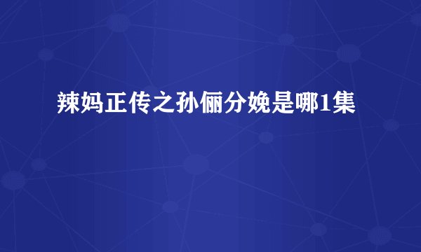 辣妈正传之孙俪分娩是哪1集