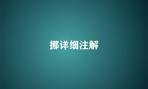 挪详细注解