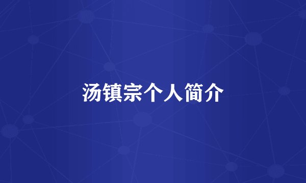 汤镇宗个人简介
