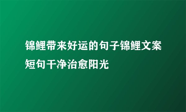 锦鲤带来好运的句子锦鲤文案短句干净治愈阳光
