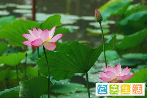 真正的聪明人，都会“留一手”