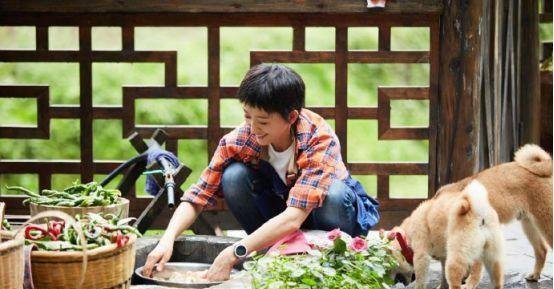 吴静一上《向往3》，何炅最感亏欠的人，如今状态好走出渣男阴霾