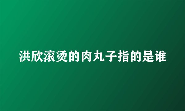 洪欣滚烫的肉丸子指的是谁