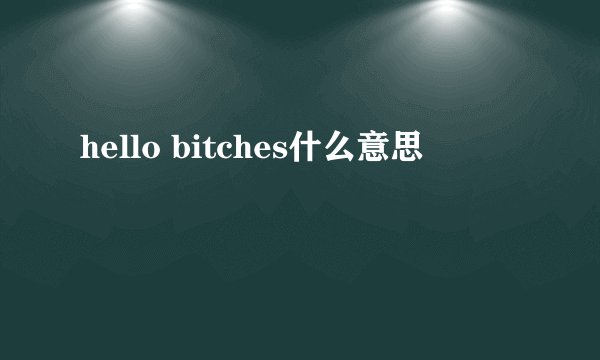 hello bitches什么意思