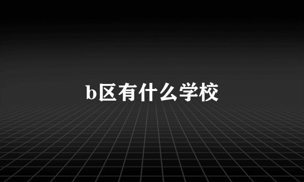 b区有什么学校