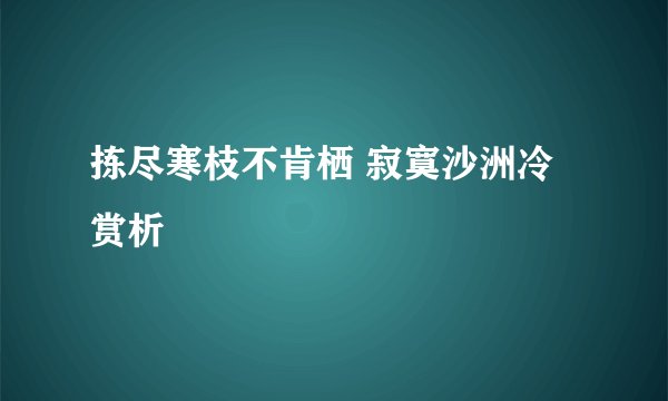 拣尽寒枝不肯栖 寂寞沙洲冷赏析