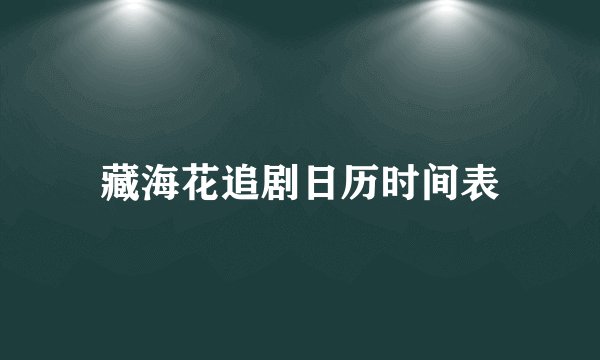 藏海花追剧日历时间表