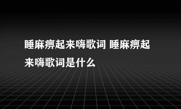 睡麻痹起来嗨歌词 睡麻痹起来嗨歌词是什么