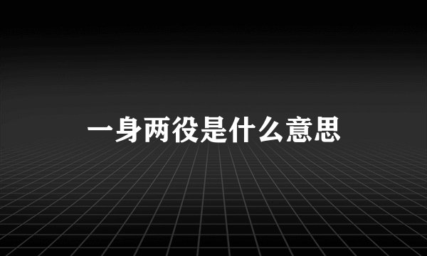 一身两役是什么意思