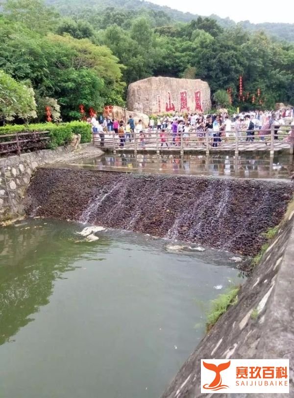 凤凰山旅游攻略