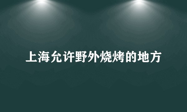 上海允许野外烧烤的地方