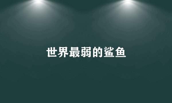 世界最弱的鲨鱼