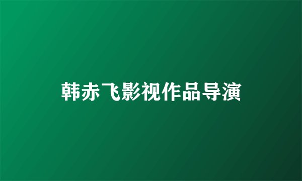 韩赤飞影视作品导演