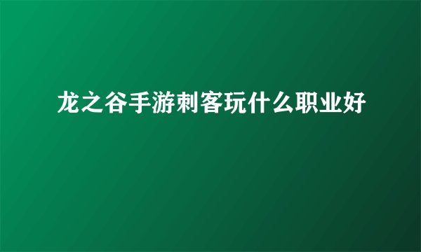 龙之谷手游刺客玩什么职业好