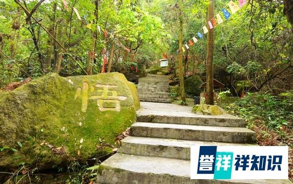 中山市逍遥谷里并不逍遥,谁去谁知道