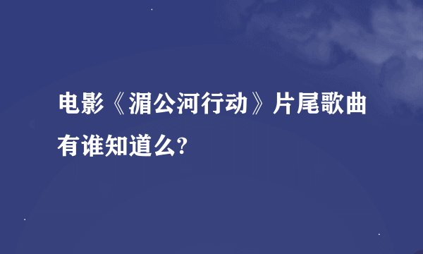 电影《湄公河行动》片尾歌曲有谁知道么?