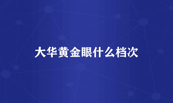 大华黄金眼什么档次