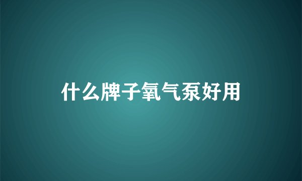 什么牌子氧气泵好用