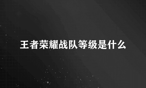 王者荣耀战队等级是什么