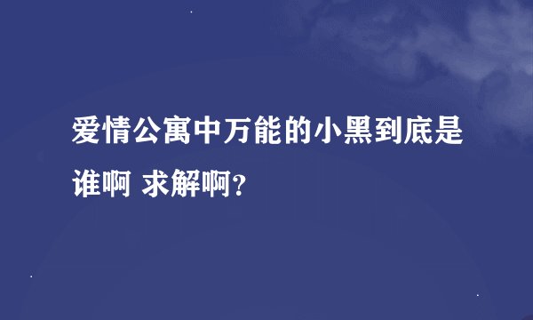 爱情公寓中万能的小黑到底是谁啊 求解啊？