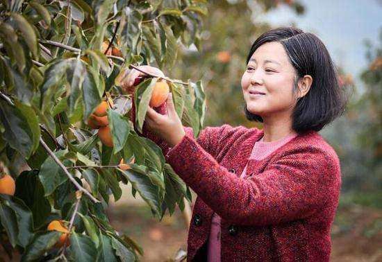 王茜华出演的电视剧有哪些?