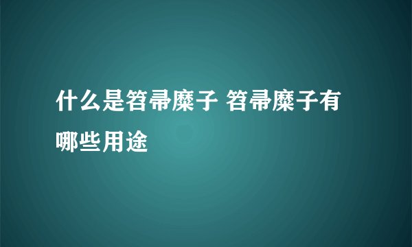 什么是笤帚糜子 笤帚糜子有哪些用途