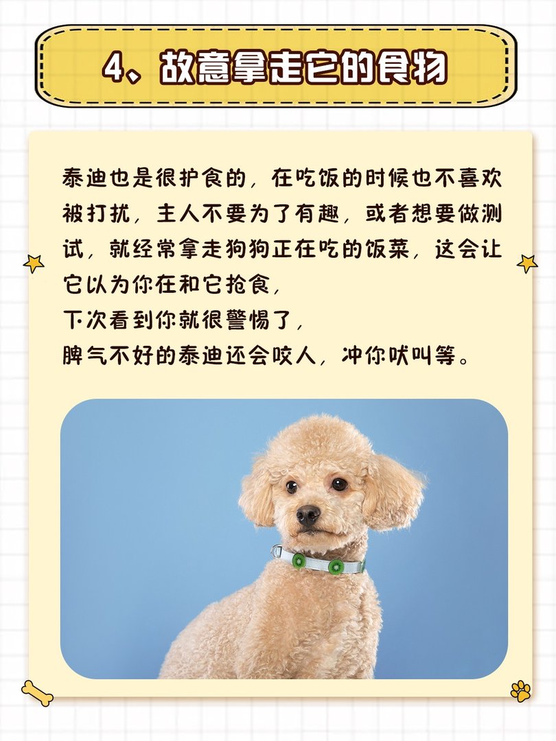 就算和泰迪“很熟”，也不要做这些事！