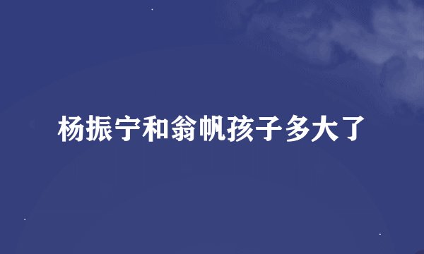 杨振宁和翁帆孩子多大了