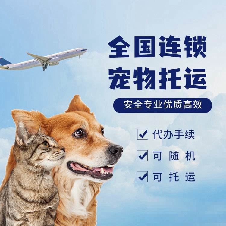 跨省带宠物怎样最便宜啊？