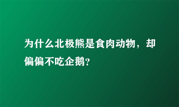 为什么北极熊是食肉动物，却偏偏不吃企鹅？