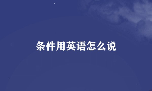 条件用英语怎么说