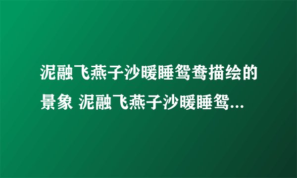 泥融飞燕子沙暖睡鸳鸯描绘的景象 泥融飞燕子沙暖睡鸳鸯的画面