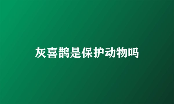 灰喜鹊是保护动物吗