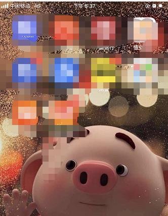 武汉核酸检测结果怎样查询？