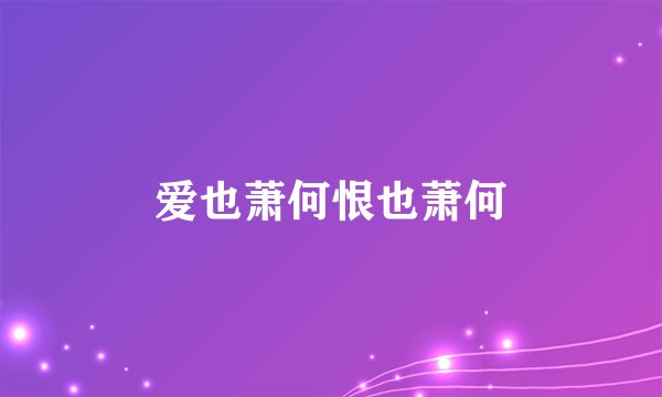 爱也萧何恨也萧何