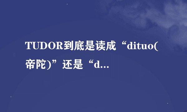 TUDOR到底是读成“dituo(帝陀)”还是“diduo(帝舵)”?
