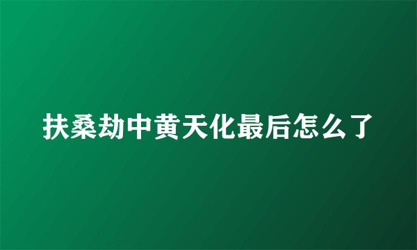 扶桑劫中黄天化最后怎么了