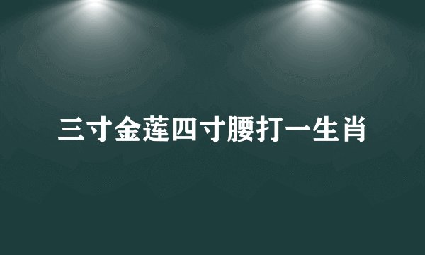三寸金莲四寸腰打一生肖